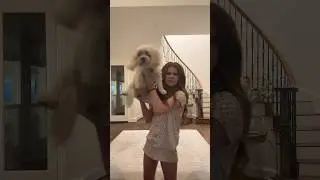 Where Is My Sister?