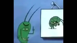 penis