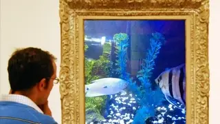 Getaway Tank | Angel Fish | Gourami | Crayfish