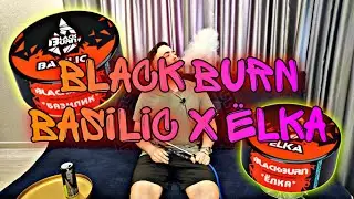 BLACK BURN- basilic X ëlka