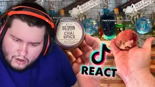 You'd NEVER Expect These Ingredients On A Sandwich | Roll For Sandwich