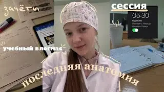 конец семестра || сессия,зачеты || новогодняя суета 💗✨