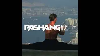 Pashang 爬上 -  Planetside PRE-ORDER TODAY! / RetroSynth  #synthwave #retrowave #retrosynth