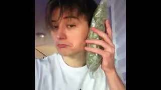 Жёсткий кавер от школьника на @uglystephan777 - Skamming Shit