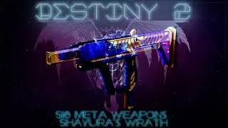 Destiny 2 S.18 Meta Weapons Pt.6