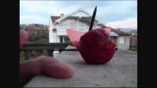 How To Make Red Angry Bird