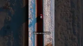 Весне дорогу… 🌼