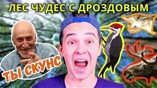 Проверяю Свою ЛЕСОЭРУДИЦИЮ с Николаем Дроздовым