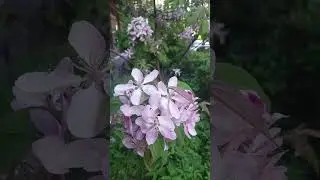 25 мая 2024 г.