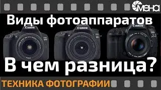 Виды фотоаппаратов. В чем разница?