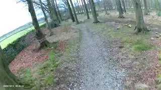 Timble Woods