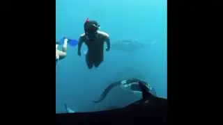 The Sea and Fishes