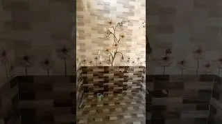 #bathroomdesign #tiles # wall tile #song #music
