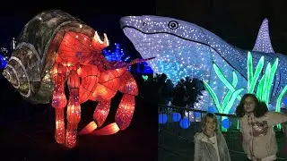 VLOG • Illuminations of Paris - Ocean being illuminated