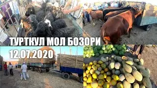 ТУРТКУЛ МОЛ БОЗОРИ 12.07.2020 TURTKUL MOL BOZORI