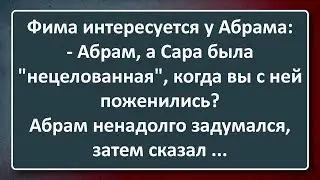 Нецелованная Невеста! Сборник Изумрудных Анекдотов №151
