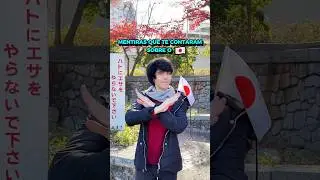 Lies They TOLD YOU About Japan