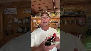 Selecting your first baitcasting reel?  (#shorts)