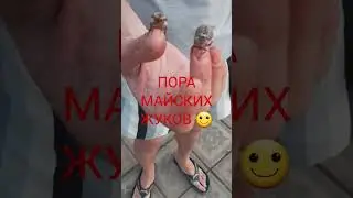20 мая 2023 г.