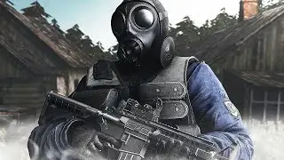 WHY DID STALKER BECOME A CULT?