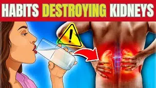 6 Bad Habits Daily That are DESTROYING Your KIDNEYS | Hab Healthy