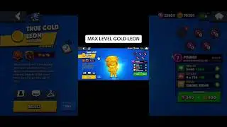 GOLD LEON: MAX LEVEL