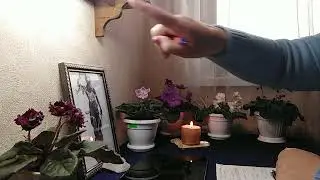 №42 Ключи жизни в кино. Обнуление.