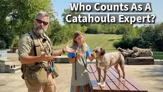 Catahoula Leopard Dog | Who Counts As An Expert?