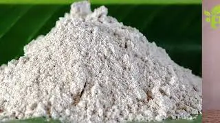 FABRICATION DE LA FARINE DE PLANTAIN : INTRODUCTION