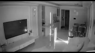 Paranormal cat caught on camera #shorts #cat #cats #funny