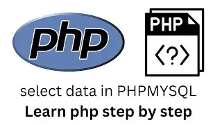 Selecting and Displaying Data From MySQL Using MySQLi || How to Display Data from Database in PHP?