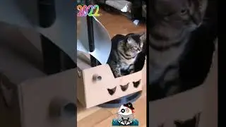 Пират Карибского моря ☠️☠️☠️ Смешное видео 2022 🖐️Новинки 2022