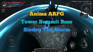 Anima arpg | Tower boss guides and gameplay