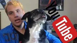 Things I Dislike About Being A YouTuber.