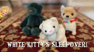 White Kitty Sleepover!