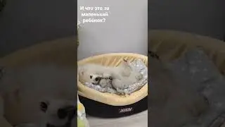 And what is this little child? 