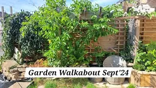 No. 113 - Garden Walkabout Sept '25