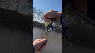 Весенняя ловля ЩУКИ 