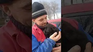 Девочку отдали Виталику в Алексеевку