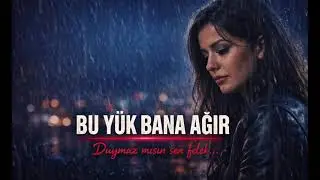 Damarlar bozkurt TR/NL 