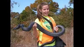 Top 10 Most Amazing Pictures of Blue Indigo Snake