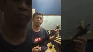 Berkisen Tanduk cover kulcapi