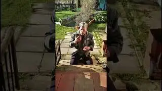 С НАСТУПАЮЩИМИ ВЫХОДНЫМИ 