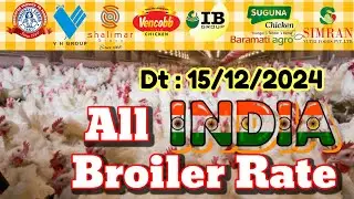 All India 🇮🇳 #BroilerRate #todaybroilerrate #todaychaickenrate #broilerchickenrate  #Dt-15/12/24