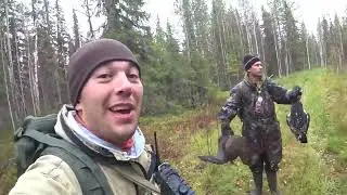 охота на севере