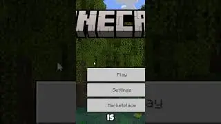 How to get Motion Blur on Minecraft Bedrock Edition!