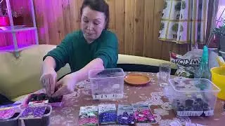 Выращиваем Дельфиниум!
