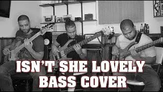 Stevie Wonder | Isn't She Lovely | Bass Cover