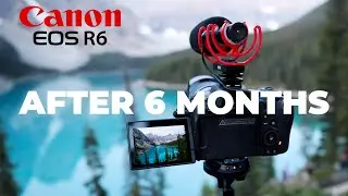 CANON R6 REVIEW AFTER 6 MONTHS