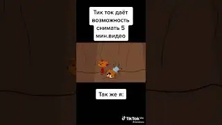 👉👍🔥Три кошары🔥💎(две кошары и одна кошка)💎🔥👈